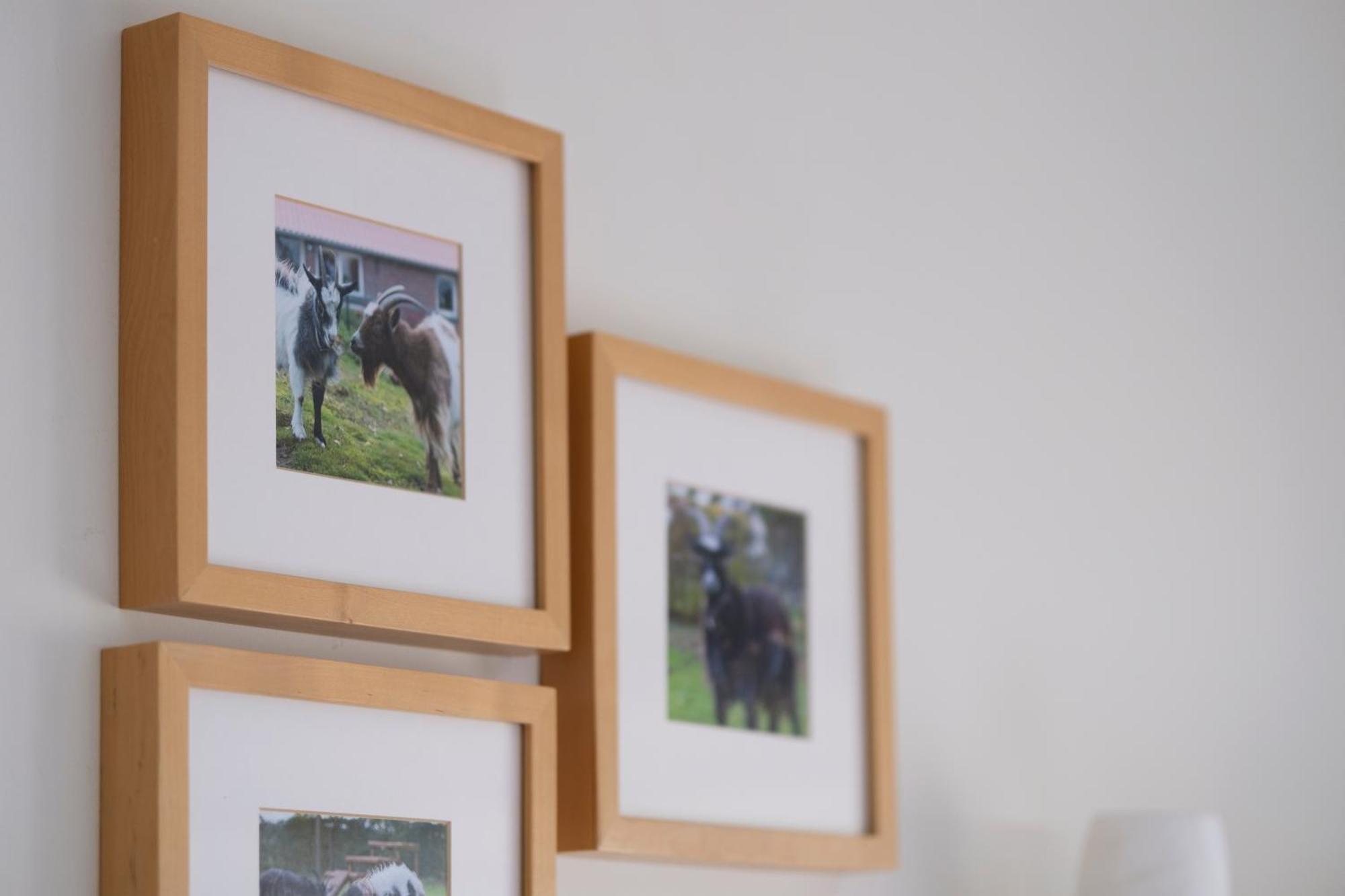 Bed and Breakfast Op D'N Stolberg Weert Exterior foto